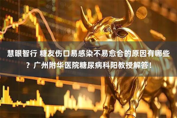 慧眼智行 糖友伤口易感染不易愈合的原因有哪些？广州附华医院糖尿病科阳教授解答！